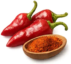 Osteonova Cream — Cayennepfeffer-Extrakt (Capsicum frutescens)