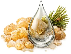 Osteonova Cream — Terpentin (Terpentinöl)