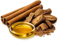 Osteonova Cream — Zimtöl (Cinnamomum zeylanicum)